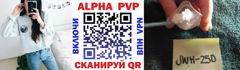 Alfa_PVP СК КРИС Терек
